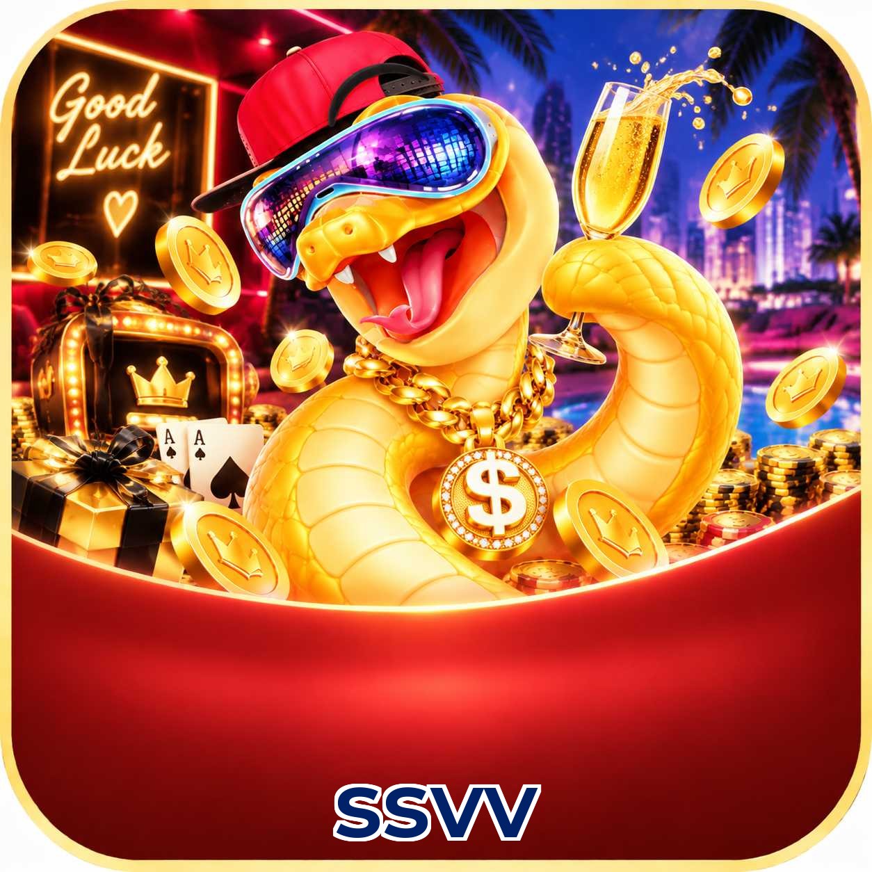 ssvv Plataforma FAQ