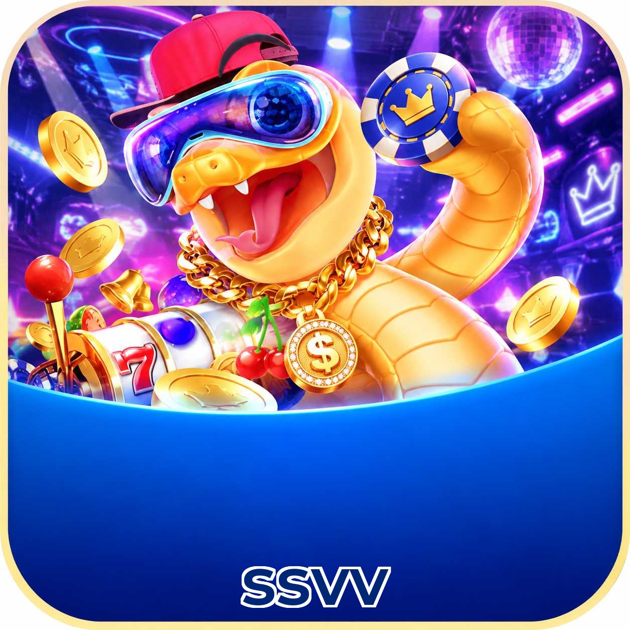 ssvv FAQ instalar app